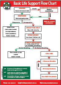 Arc Basic Life Support Flow Chart